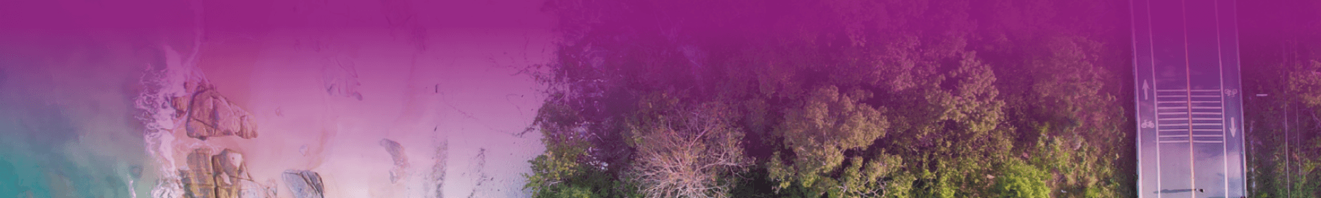 Page hero small image